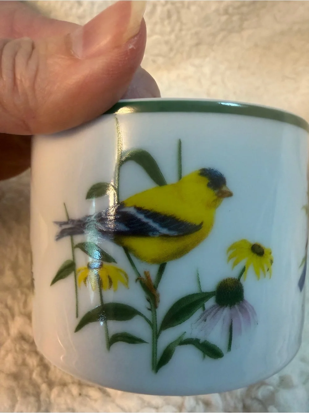 2 Vintage National Wildlife Federation “American Songbirds” Tea Cups. RARE